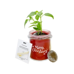 Kolor w Szkle — zestaw z barwionym kwarcem / Grow kit w szkle z barwionym kwarcem